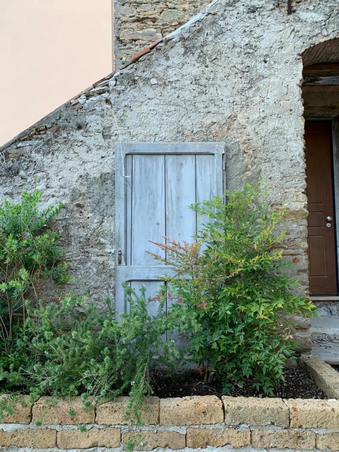Tuscany House Of Artist Montignoso Dış mekan fotoğraf