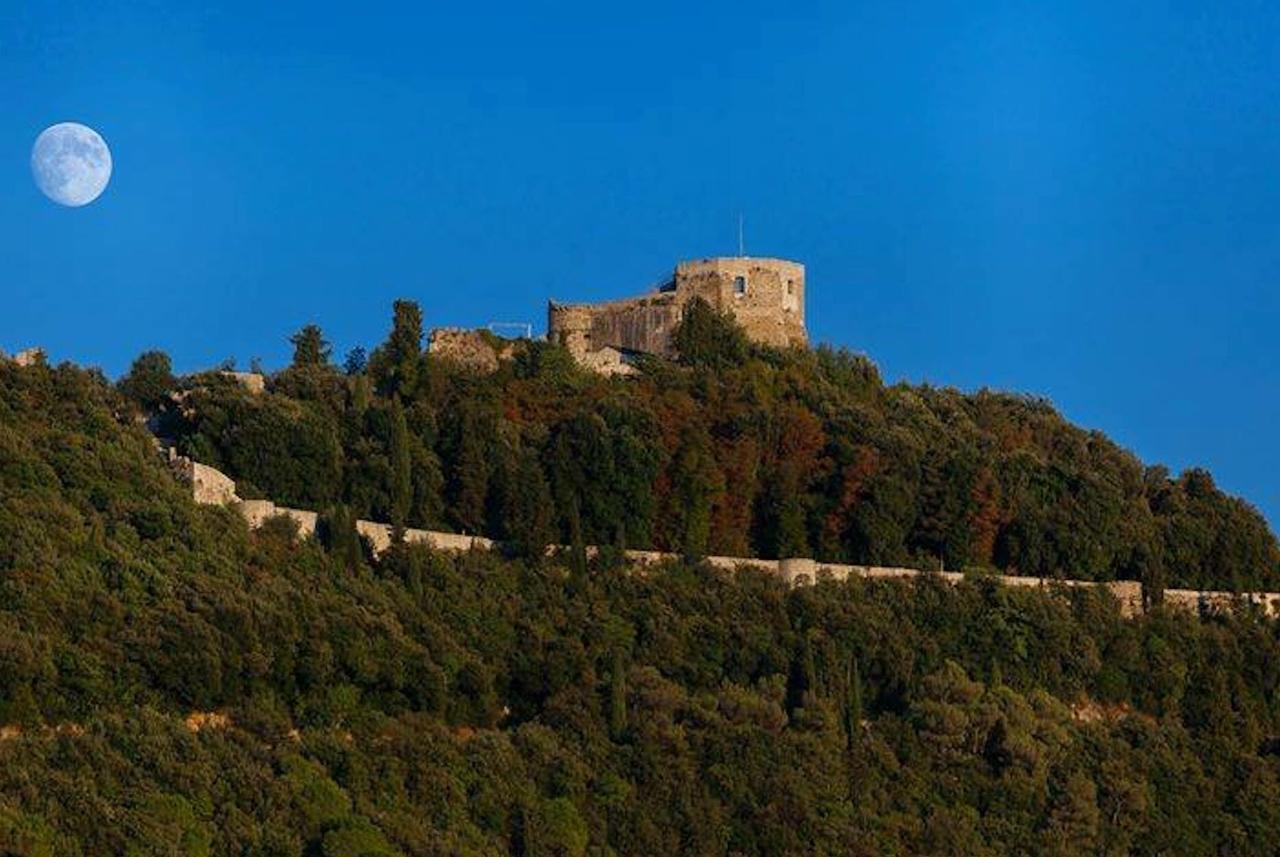 Tuscany House Of Artist Montignoso Dış mekan fotoğraf